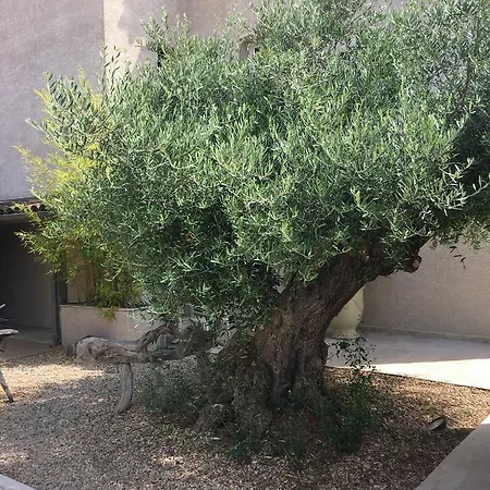 Apartamento Mare E Sole